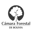camara forestal 1